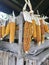 Cobs of corn drying in the open air. Connected with each other glumes. Hang on a wooden box and a tight rope. Crops harvested from