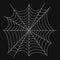 Cobweb, realistic web icon isolated on white background. Vector illustration.