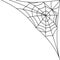Cobweb, spider web