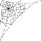 Cobweb, spider web