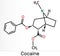 Cocaine, coke, coca molecule. It is tropane alkaloid with central nervous systems CNS stimulating, local anesthetic,