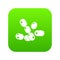 Coccus bacilli icon green vector