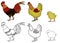 Cock, hen, chick animals coloring