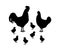 Cock, hen and chicken silhouettes isolated on white background