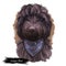 Cockapoo Black dog digital art illustration of cute canine animal. Mixed-breed dog cross between American Cocker or English Cocker