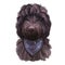 Cockapoo Black dog digital art illustration of cute canine animal. Mixed-breed dog cross between American Cocker or English Cocker