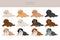 Cockapoo mix breed puppies clipart. Different poses, coat colors set