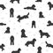 Cockapoo mix breed seamless pattern. Different poses, coat colors set.t poses, coat colors set