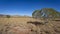 Cockburn Range, El Questro Station, Kimberley Region, Western Australia