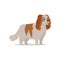 Cocker Spaniel Dog Breed Flat Design Illustration