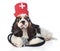 Cocker Spaniel puppy wearing hat doctor with stethoscope. isolated