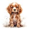 Cocker spaniel puppy on a white background. Cute digital watercolour for dog lovers