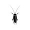 Cockroach black color icon .