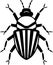 Cockroach - black and white vector illustration