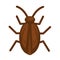 Cockroach in brown color isolated on white graphic illustration