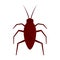 Cockroach bug icon, flat style