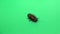 Cockroach crawls . Green screen. Slow motion