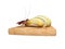 Cockroach eats white bread 3d render on white background no shadow