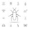 cockroach icon. Detailed set of insects line illustrations. Premium quality graphic design icon. One of the collection icons for w