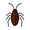 Cockroach icon on white background