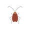 Cockroach insect stands and looks, back view, funny brown bug with antennae, vector cartoon pest parasite illustration
