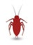 Cockroach Insect Vector