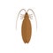 Cockroach isolated. Insect on white background. Beetle. Bug Vector illustration