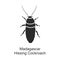 Cockroach madagascar vector icon.Black vector icon isolated on white background cockroach madagascar .