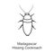 Cockroach madagascar vector icon.Line vector icon isolated on white background cockroach madagascar.