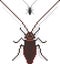 Cockroach Pixelated Icon