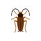 Cockroach roach pest single flat color vector icon