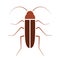 Cockroach vector icon