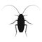 Cockroach vector logo in flat design. Black icon of cockroach