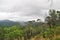 The Cockscomb Basin Wildlife Sanctuary in Belize