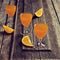 Cocktail citrus orange