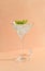 Cocktail drink ice mint leaves martini glass