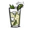 Cocktail mojito hand drawn vector illustration. Sketch illustration for cocktail cards. Mojito classic cocktail