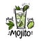 Cocktail mojito hand drawn vector illustration. Sketch illustration for cocktail cards. Mojito classic cocktail