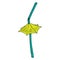 Cocktail straw with umbrella icon. Vector of a decorative umbrella for cocktails. Hand drawn cocktail umbrella