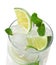 Cocktaill: mint, lime, ice, vodka