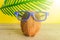 A cocnut wearing 3D glasses on blue background. Summer and trave concept