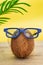 A cocnut wearing blue glasses on tropical yellow background. Summer and trave concept