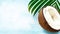 Coco. Coconut half with leaves on blue background. Copy space, Banner with Coconut