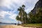 Coco palm tree on tropical beach landscape. Idyllic seaside landscape with green palms. Relaxing view of exotic island