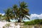 Coco palms on the blue water lagoon beach