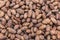 Cocoa. Background of ripe cocoa beans