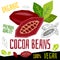 Cocoa beans chocolate icon herb label fresh organic condiment, nuts herbs spice condiment color graphic design vegan food.