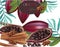 Cocoa beans and cinnamon realistic detailed Vector exotic