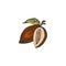 Cocoa beans icon.