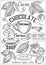 Cocoa, cacao, chocolate Vector set of Dessert Spices logos, labels, badges and design